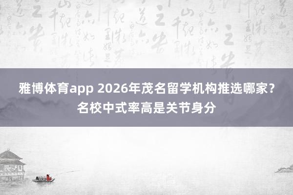 雅博体育app 2026年茂名留学机构推选哪家？名校中式率高是关节身分