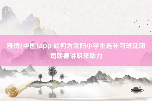 雅博(中国)app 如何为沈阳小学生选补习班沈阳司朗德讲明来助力