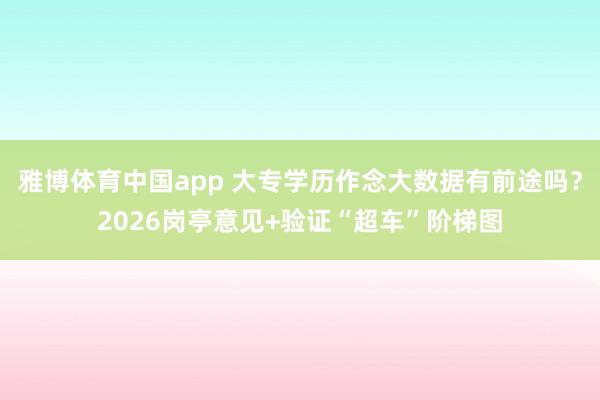 雅博体育中国app 大专学历作念大数据有前途吗？2026岗亭意见+验证“超车”阶梯图