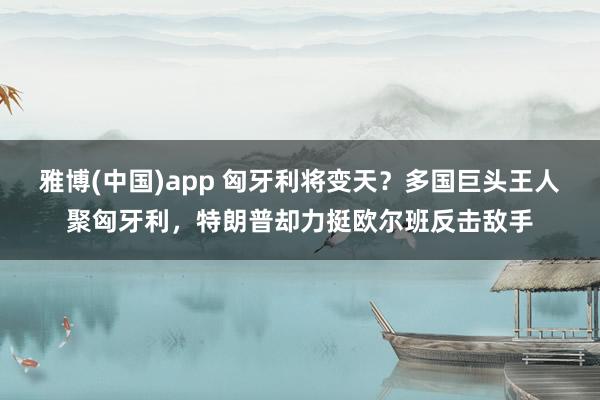 雅博(中国)app 匈牙利将变天？多国巨头王人聚匈牙利，特朗普却力挺欧尔班反击敌手