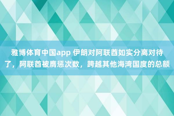 雅博体育中国app 伊朗对阿联酋如实分离对待了，阿联酋被膺惩次数，跨越其他海湾国度的总额