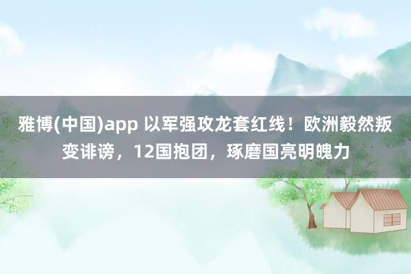 雅博(中国)app 以军强攻龙套红线！欧洲毅然叛变诽谤，12国抱团，琢磨国亮明魄力