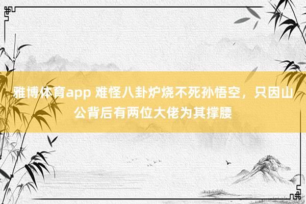 雅博体育app 难怪八卦炉烧不死孙悟空，只因山公背后有两位大佬为其撑腰