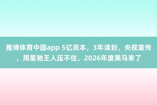 雅博体育中国app 5亿资本，3年谋划，央视宣传，周星驰王人压不住，2026年度黑马来了