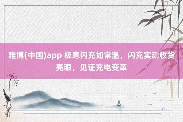 雅博(中国)app 极寒闪充如常温，闪充实测收货亮眼，见证充电变革