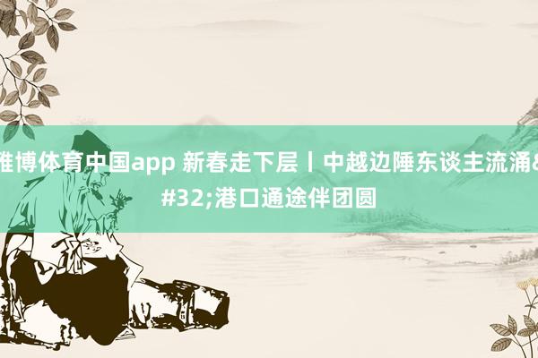 雅博体育中国app 新春走下层丨中越边陲东谈主流涌 港口通途伴团圆