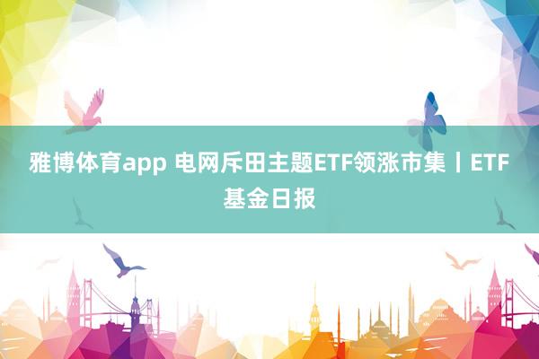 雅博体育app 电网斥田主题ETF领涨市集丨ETF基金日报