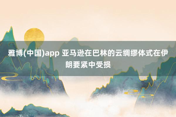 雅博(中国)app 亚马逊在巴林的云绸缪体式在伊朗要紧中受损