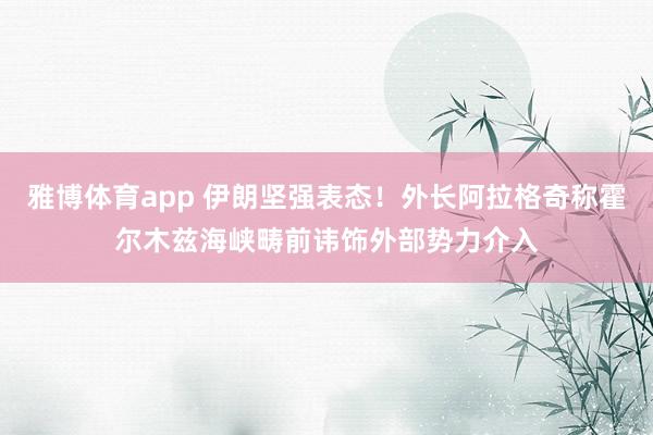 雅博体育app 伊朗坚强表态！外长阿拉格奇称霍尔木兹海峡畴前讳饰外部势力介入