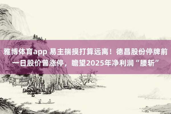 雅博体育app 易主揣摸打算远离！德昌股份停牌前一日股价曾涨停，瞻望2025年净利润“腰斩”