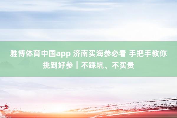 雅博体育中国app 济南买海参必看 手把手教你挑到好参｜不踩坑、不买贵