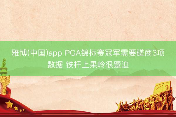 雅博(中国)app PGA锦标赛冠军需要磋商3项数据 铁杆上果岭很蹙迫