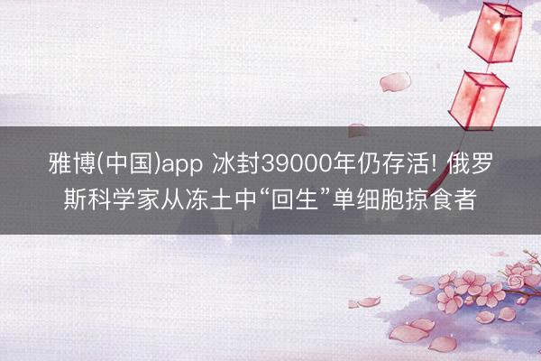 雅博(中国)app 冰封39000年仍存活! 俄罗斯科学家从冻土中“回生”单细胞掠食者