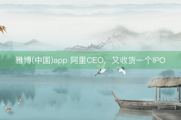 雅博(中国)app 阿里CEO，又收货一个IPO