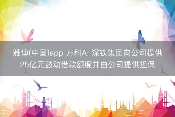 雅博(中国)app 万科A: 深铁集团向公司提供25亿元鼓动借款额度并由公司提供担保