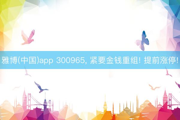 雅博(中国)app 300965， 紧要金钱重组! 提前涨停!