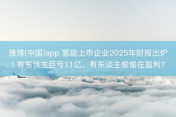 雅博(中国)app 氢能上市企业2025年财报出炉! 有东谈主巨亏11亿、有东谈主偷偷在盈利?