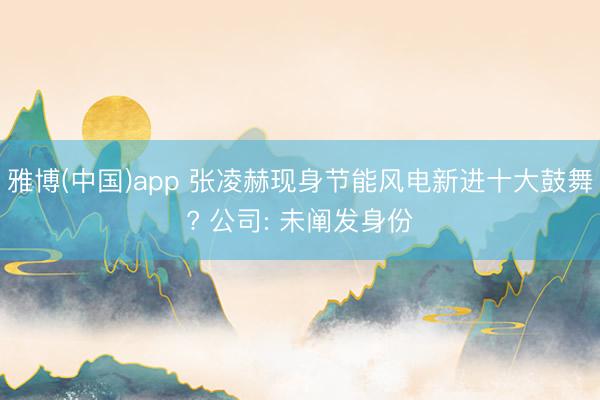 雅博(中国)app 张凌赫现身节能风电新进十大鼓舞? 公司: 未阐发身份