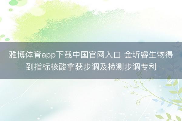 雅博体育app下载中国官网入口 金圻睿生物得到指标核酸拿获步调及检测步调专利