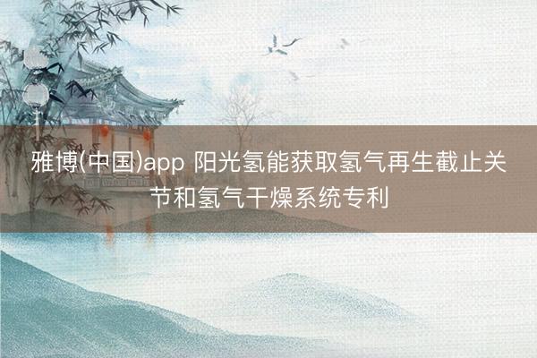 雅博(中国)app 阳光氢能获取氢气再生截止关节和氢气干燥系统专利