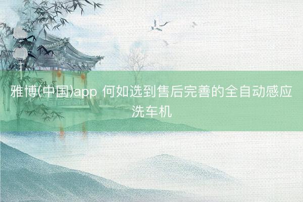 雅博(中国)app 何如选到售后完善的全自动感应洗车机