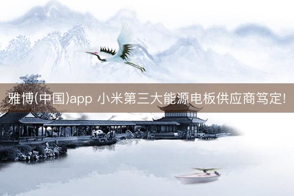 雅博(中国)app 小米第三大能源电板供应商笃定!