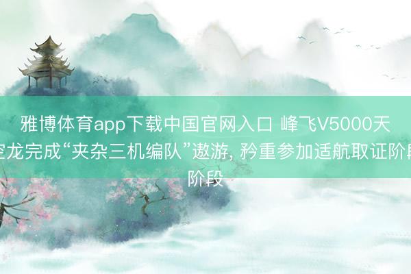 雅博体育app下载中国官网入口 峰飞V5000天空龙完成“夹杂三机编队”遨游， 矜重参加适航取证阶段