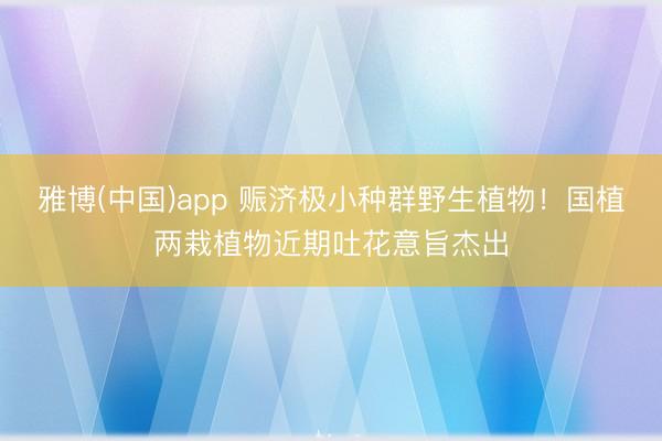 雅博(中国)app 赈济极小种群野生植物！国植两栽植物近期吐花意旨杰出