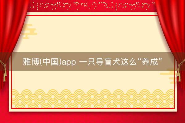 雅博(中国)app 一只导盲犬这么“养成”