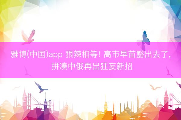 雅博(中国)app 狠辣相等! 高市早苗豁出去了， 拼凑中俄再出狂妄新招