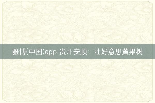 雅博(中国)app 贵州安顺：壮好意思黄果树