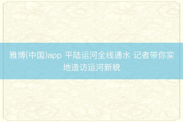雅博(中国)app 平陆运河全线通水 记者带你实地造访运河新貌