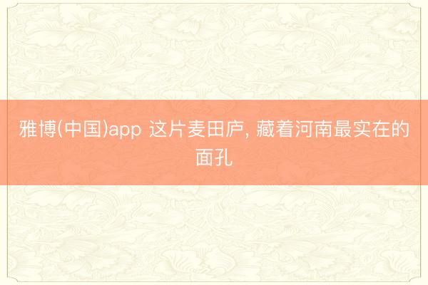 雅博(中国)app 这片麦田庐， 藏着河南最实在的面孔
