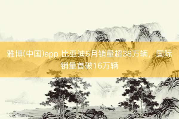 雅博(中国)app 比亚迪5月销量超38万辆，国际销量首破16万辆
