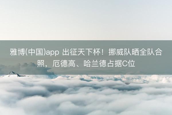雅博(中国)app 出征天下杯！挪威队晒全队合照，厄德高、哈兰德占据C位