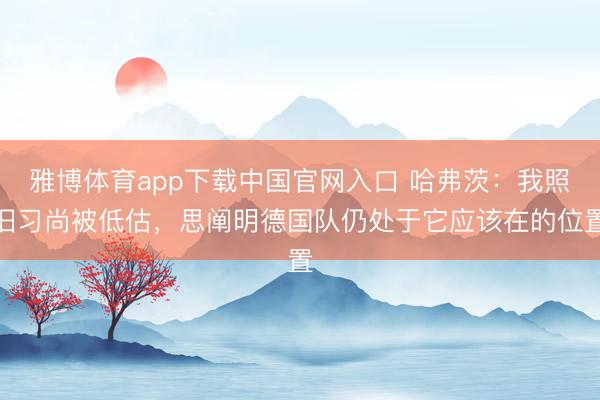雅博体育app下载中国官网入口 哈弗茨:我照旧习尚被低估,思阐明德国队仍处于它应该在的位置