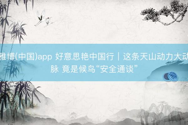 雅博(中国)app 好意思艳中国行｜这条天山动力大动脉 竟是候鸟“安全通谈”
