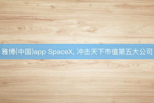 雅博(中国)app SpaceX， 冲击天下市值第五大公司